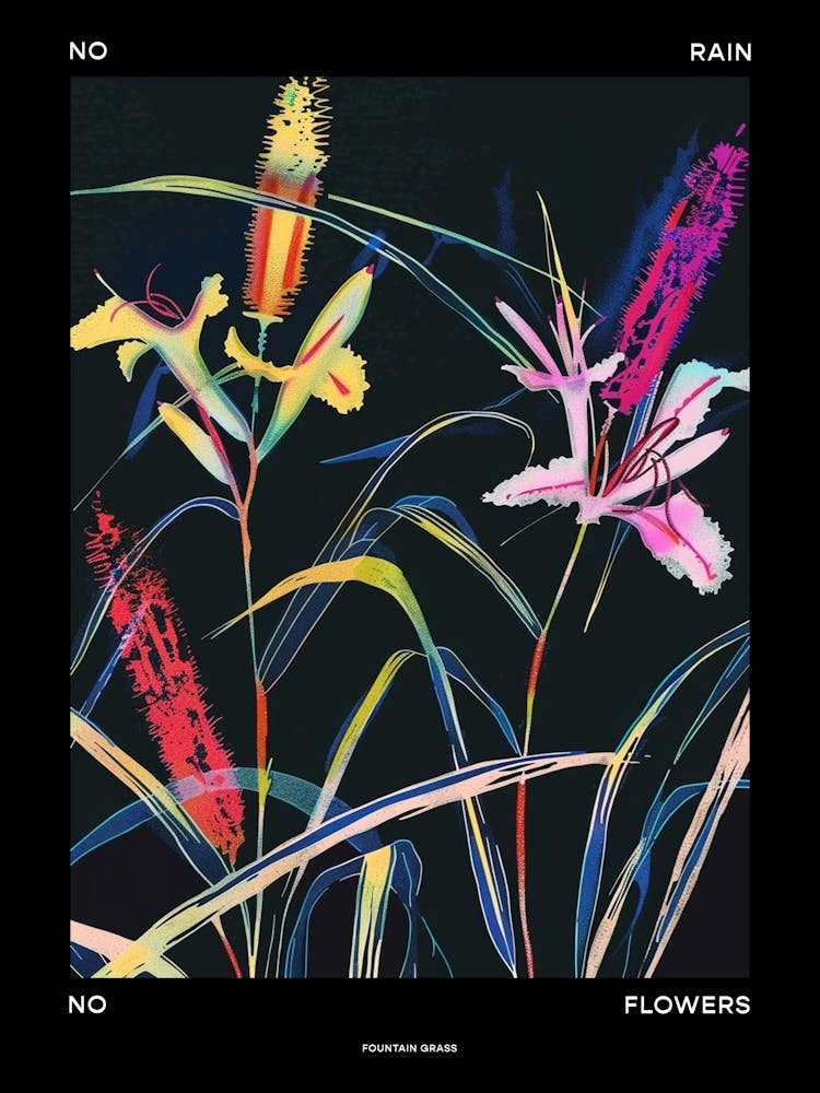 No Rain No Flowers Poster Fountain Grass 2