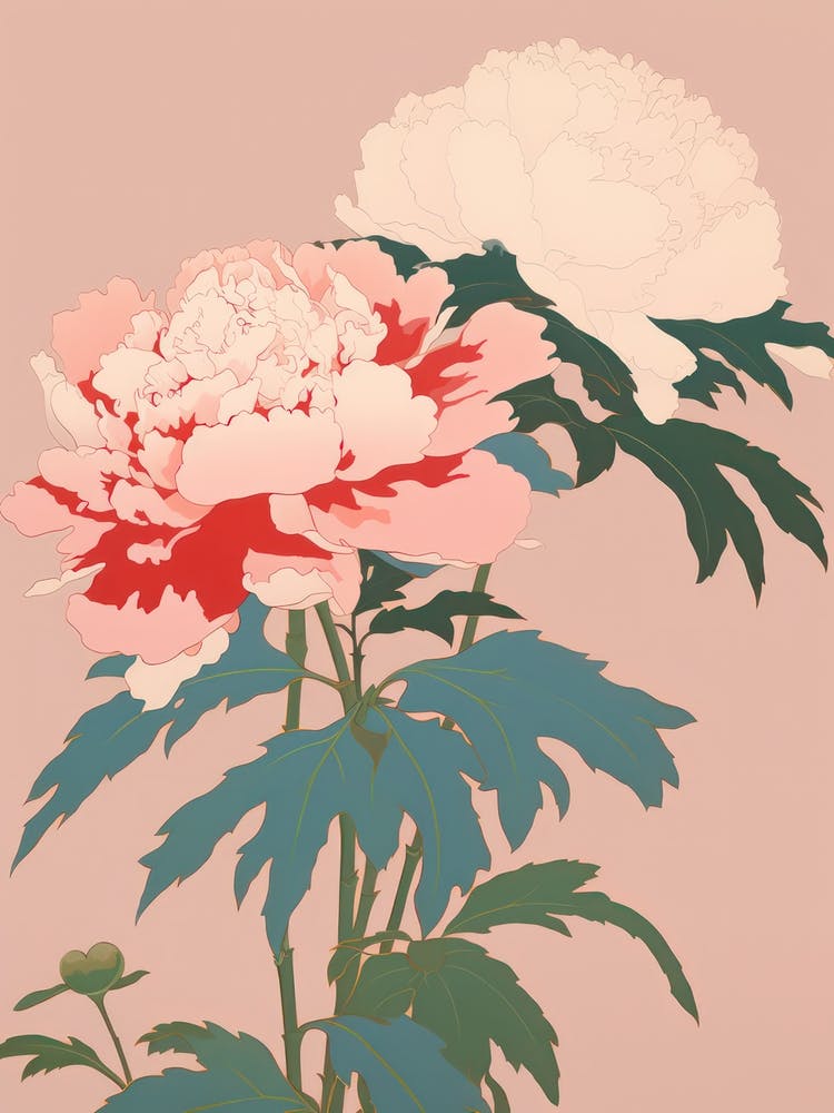 Peonies Flower Big Bold Illustration 2