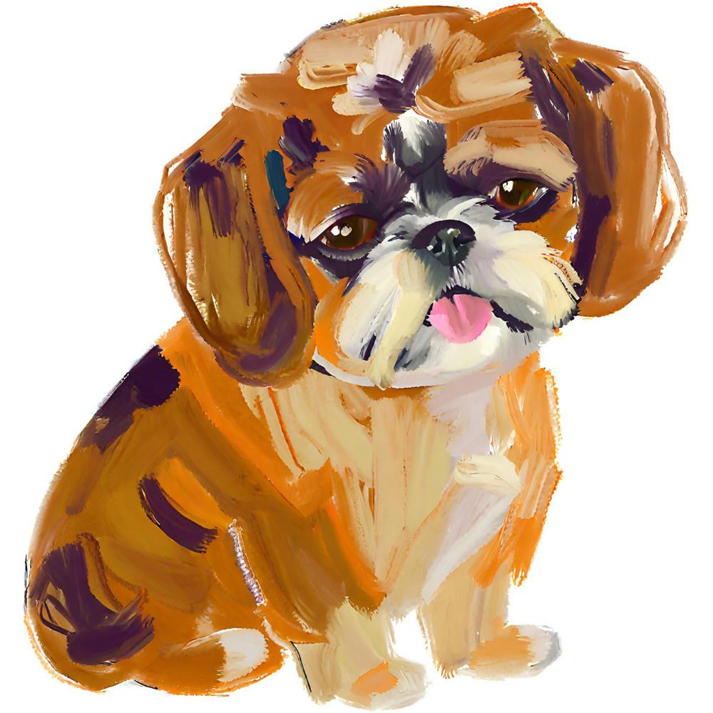 Shih Tzu 03