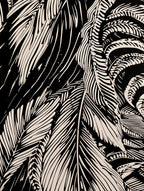 Palm Leaves in black and white