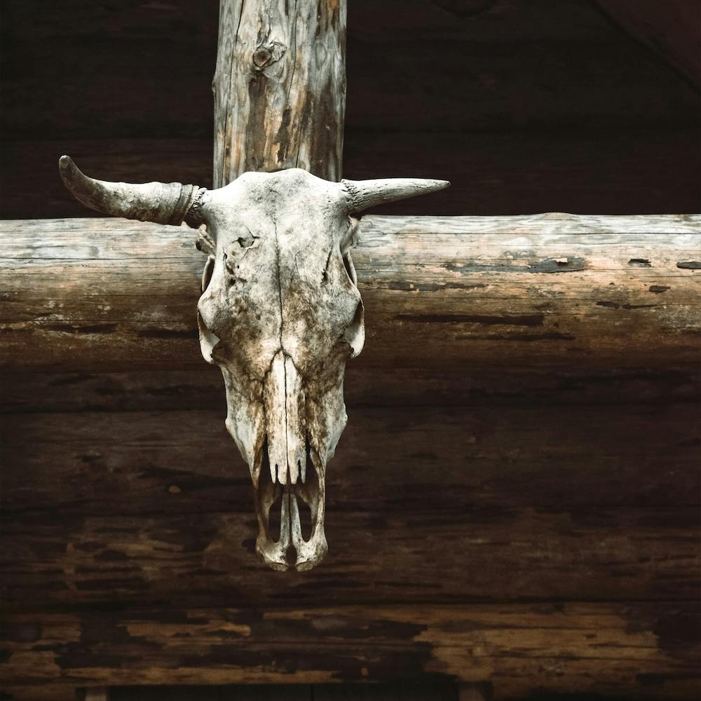 Skull On Cabin Square
