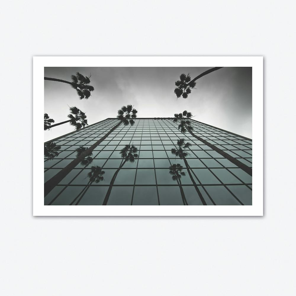 Reflections