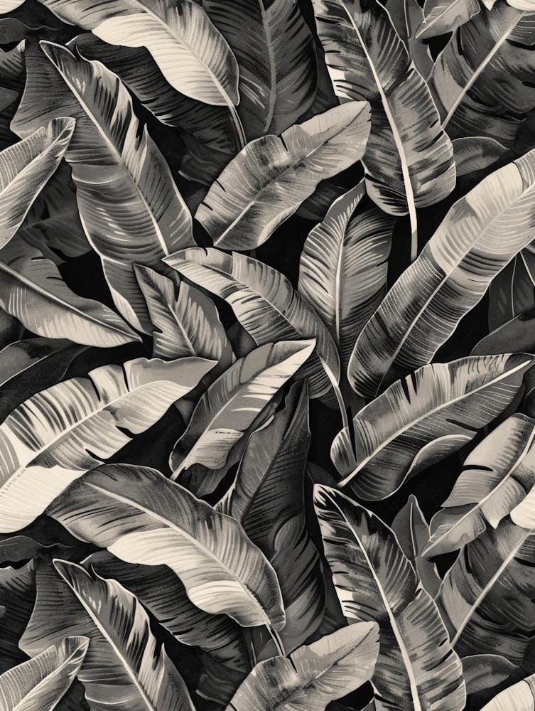 Black And White Banana Leaves 4