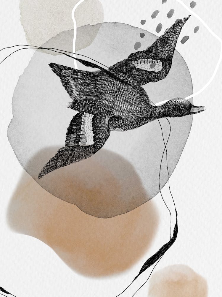 Feathered Friends In Flight Black & Brown