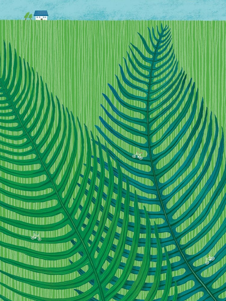Riding a bike on Ferns