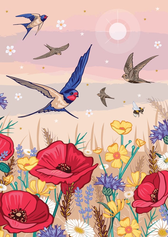 Swallows And Swifts Over The Poppy Field