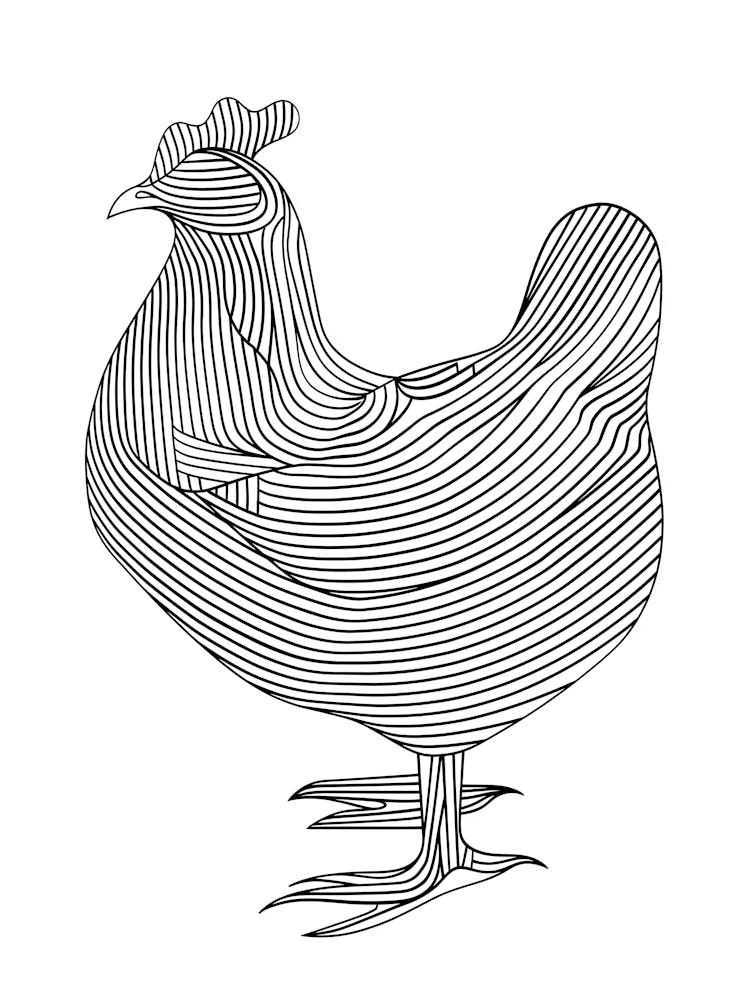 Rooster In Black And White animal lines art