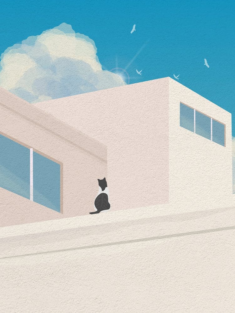Minimal art Cat On Roof