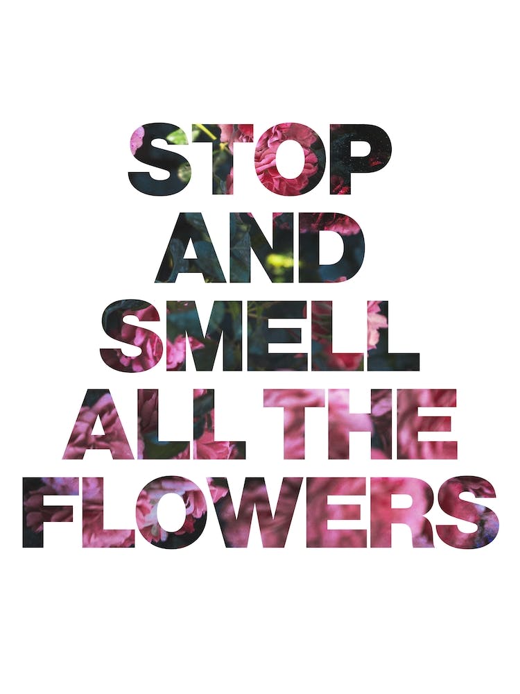 Stop And Smell All The Flowers