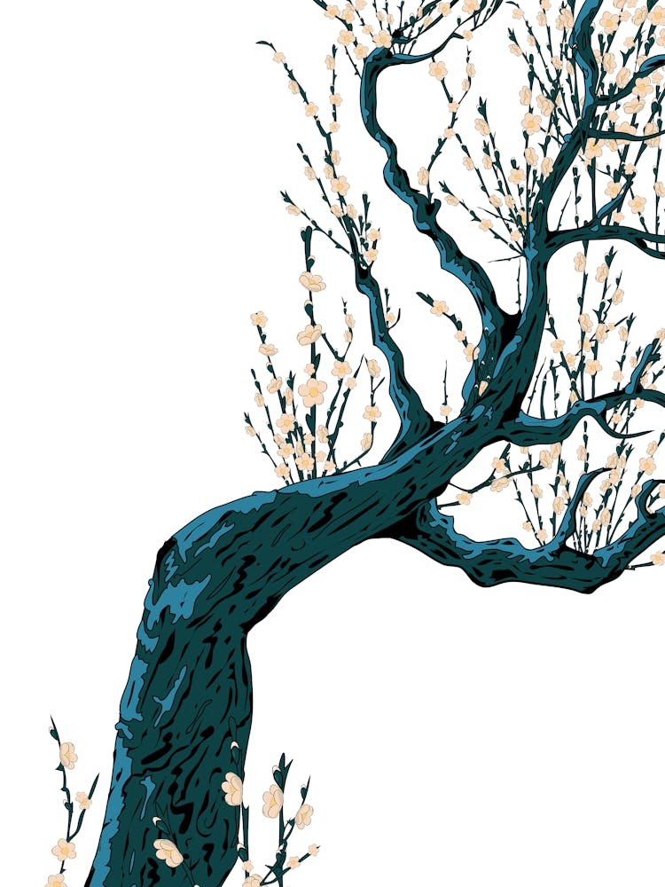 Asian Cherry Blossom Tree 1