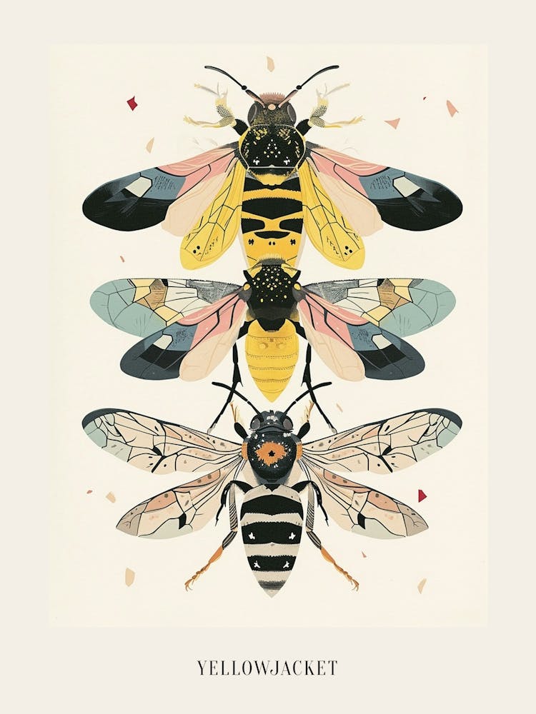 Colourful Insect Illustration Yellowjacket 4 Poster