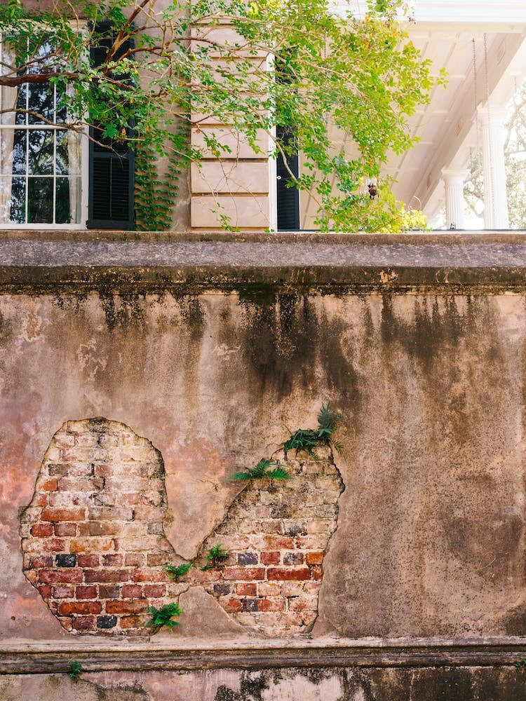 Charleson Walls VIII