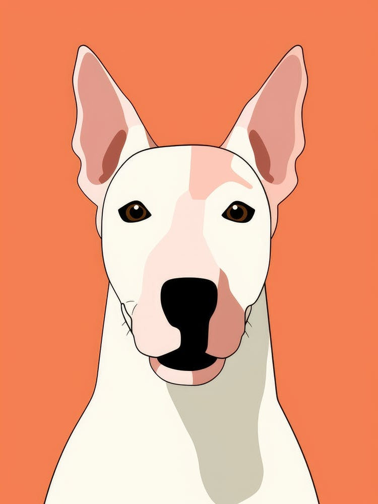 Bull Terrier 1