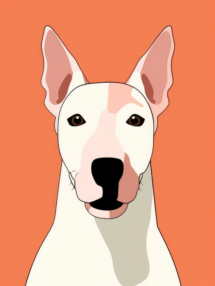 Bull Terrier 1