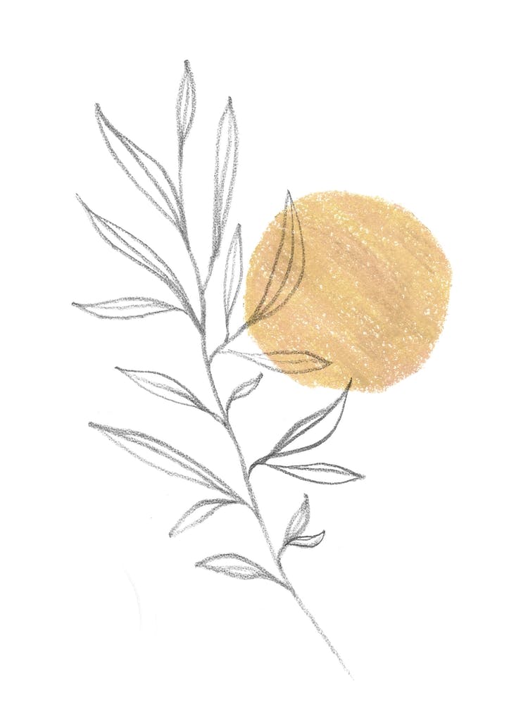 Line art Leaf and sun