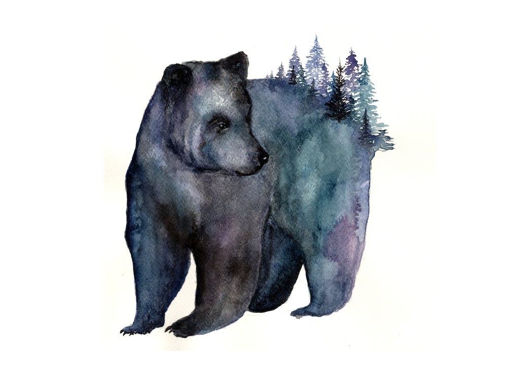 Forest Bear