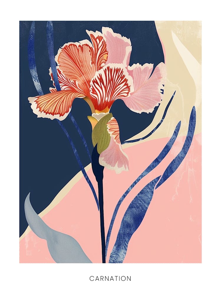Colourful Flower Illustration Poster Carnation 1