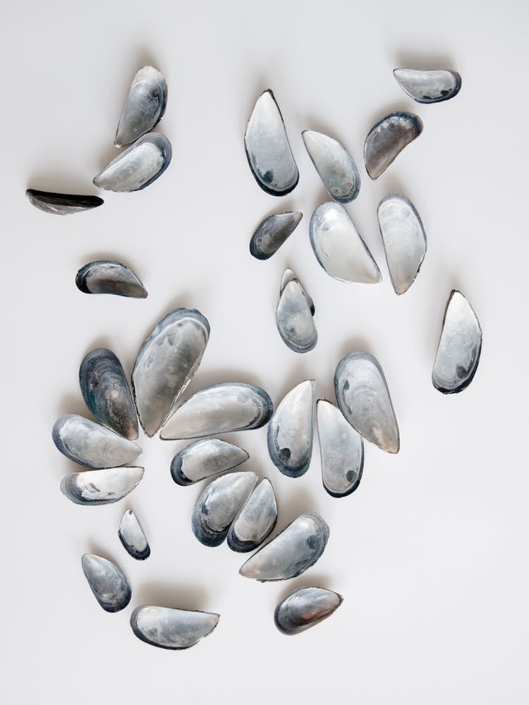 Memories Of The Sea 2