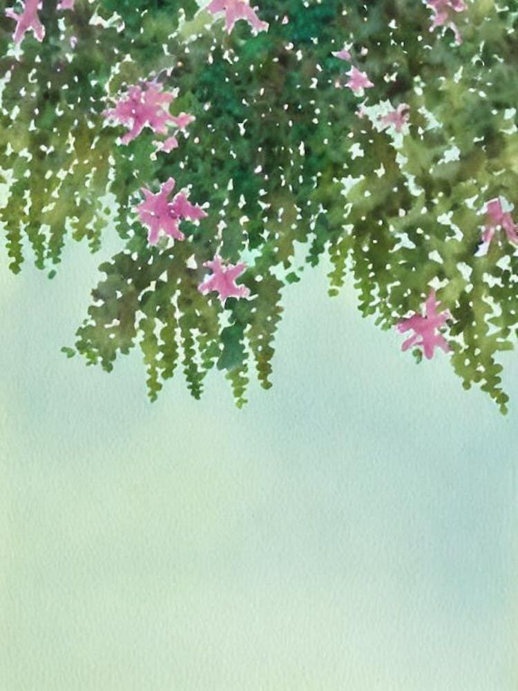 Acropora Anthocercis Storybook Watercolour