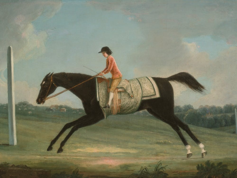 Horse Rider, Vintage Horse