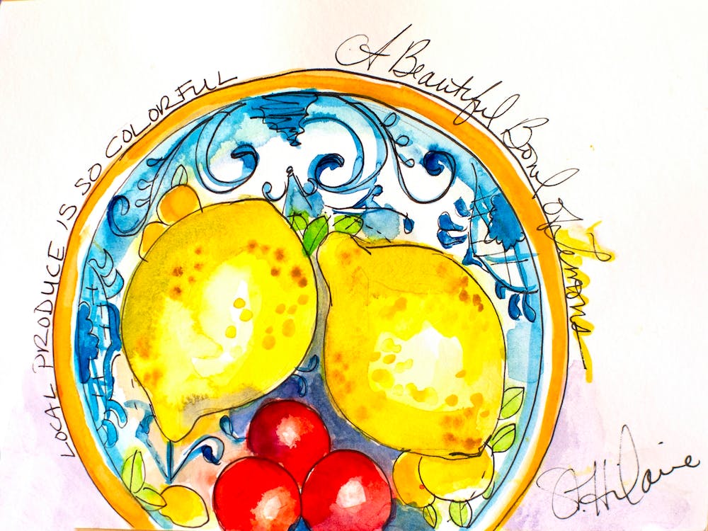 Pen And Ink With Watercolor Fruits In Ceramic