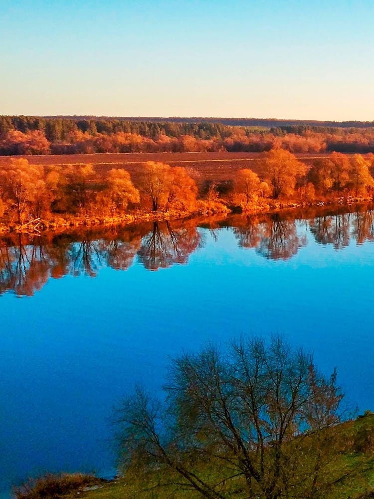 Autumn River