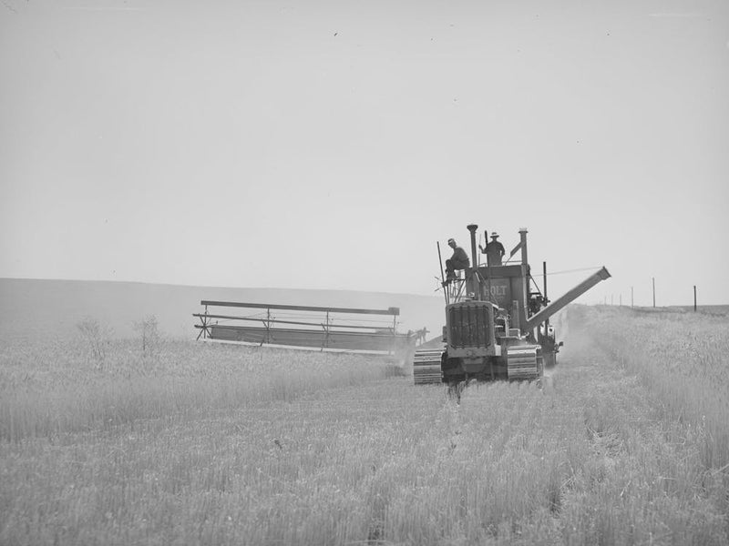 Tractor Drawn Combine In Wheat Field On Eureka Flats, Walla Walla County, Washington By Russell Lee