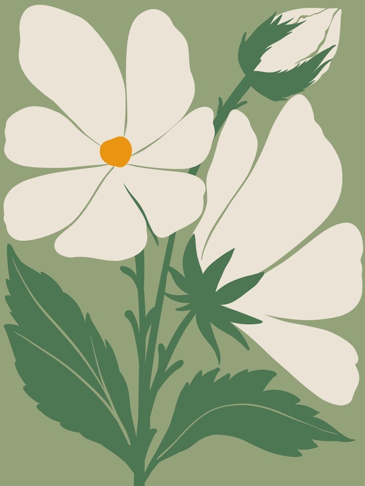 White Flowers 3