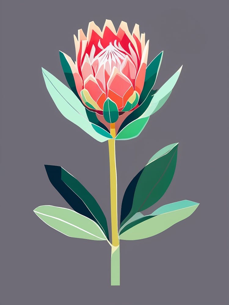 Protea no1