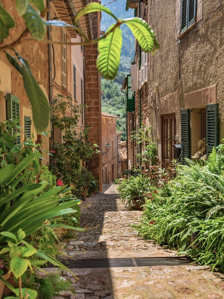 Fornalutx Narrow Street In A Village Mallorca