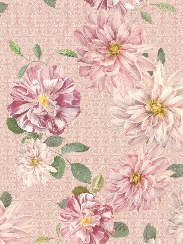 Vintage Pink Dahlias