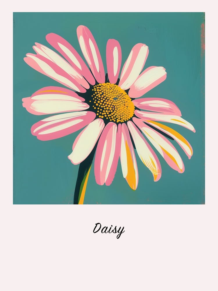 Daisy 2 Square Flower Illustration Poster