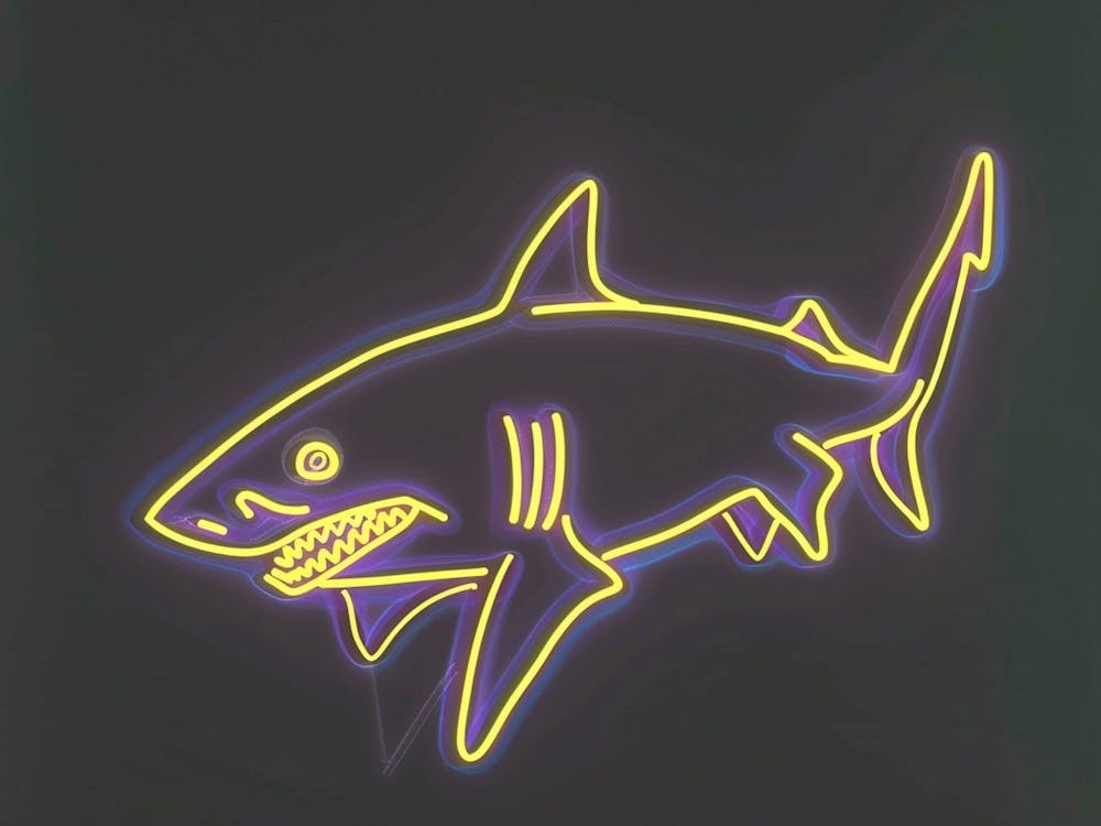 Requin-renard pélagique néon 5
