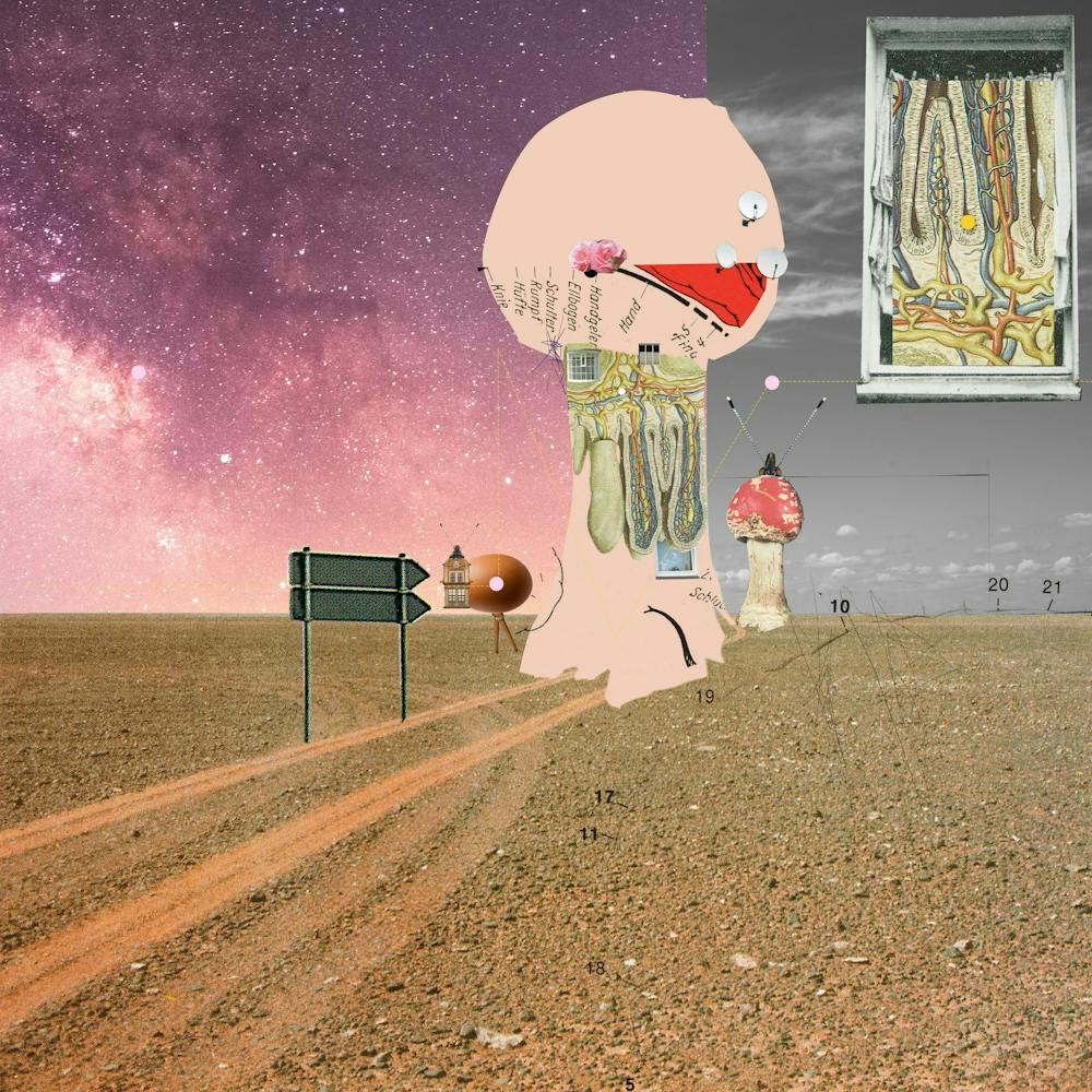 Magic Mushroom Dreamland