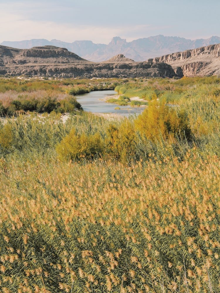 Rio Grande View