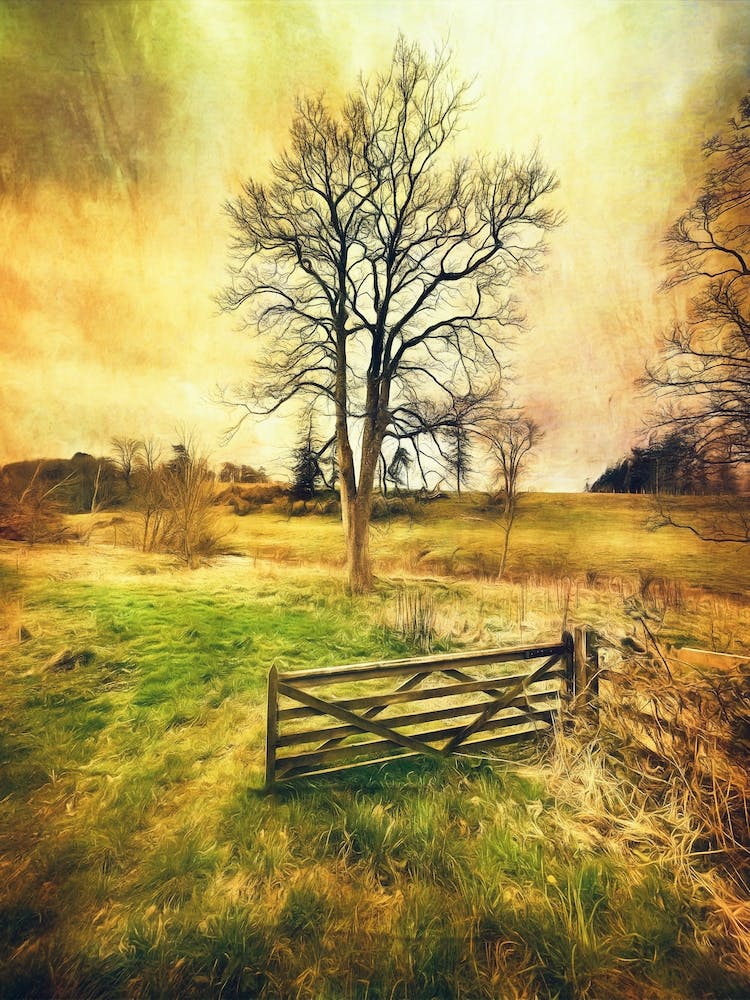 Tree And Wooden Gate