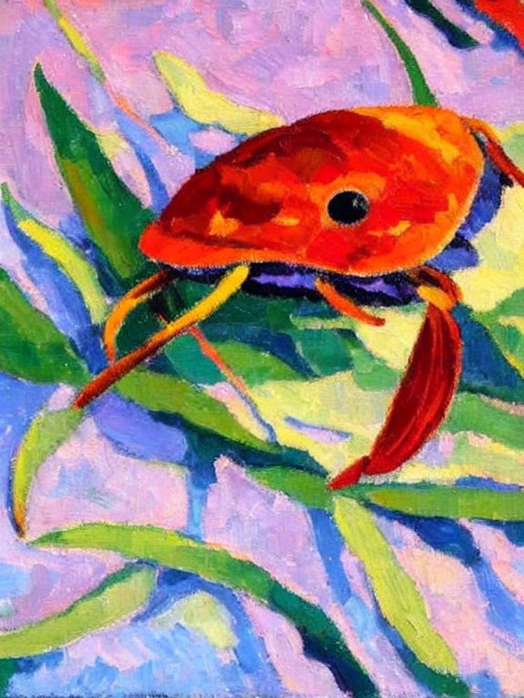 Velvet Crab Matisse Inspired