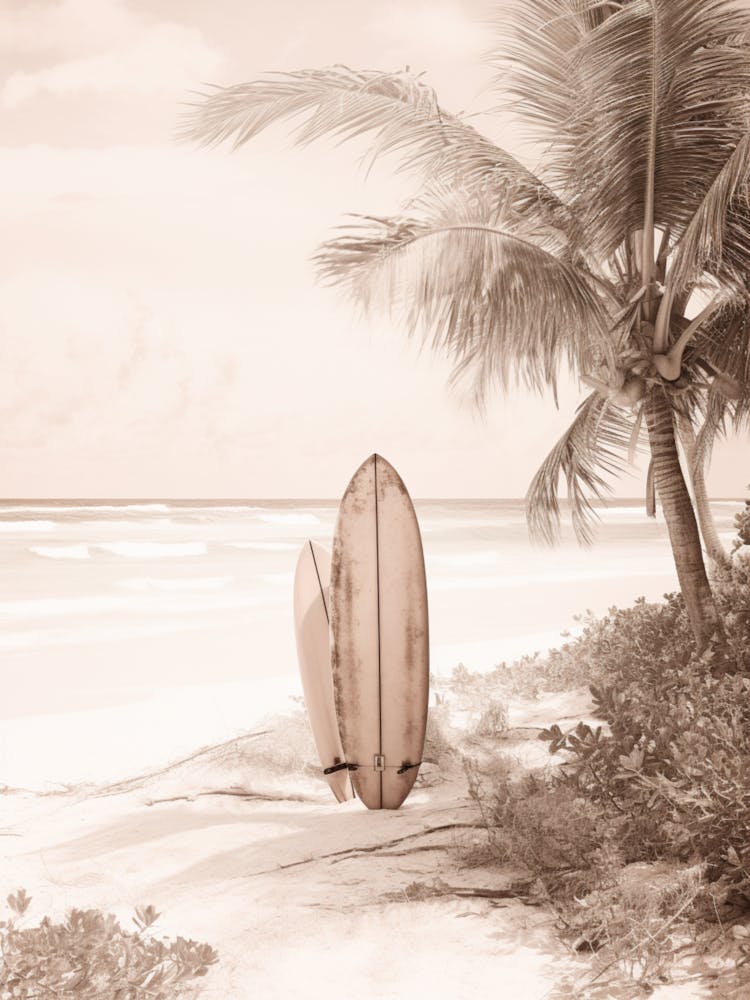 Bohemian Art Of Pink Sands Beach, Harbour Island Bahamas 1