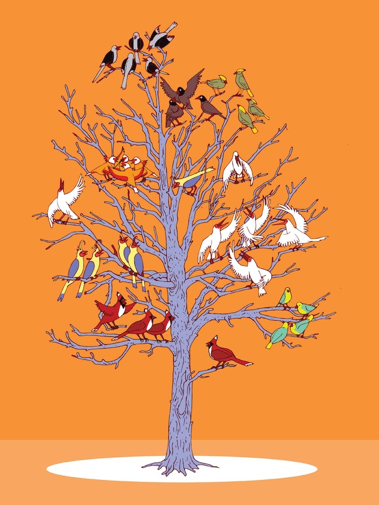 A Social Network By Izhar Cohen