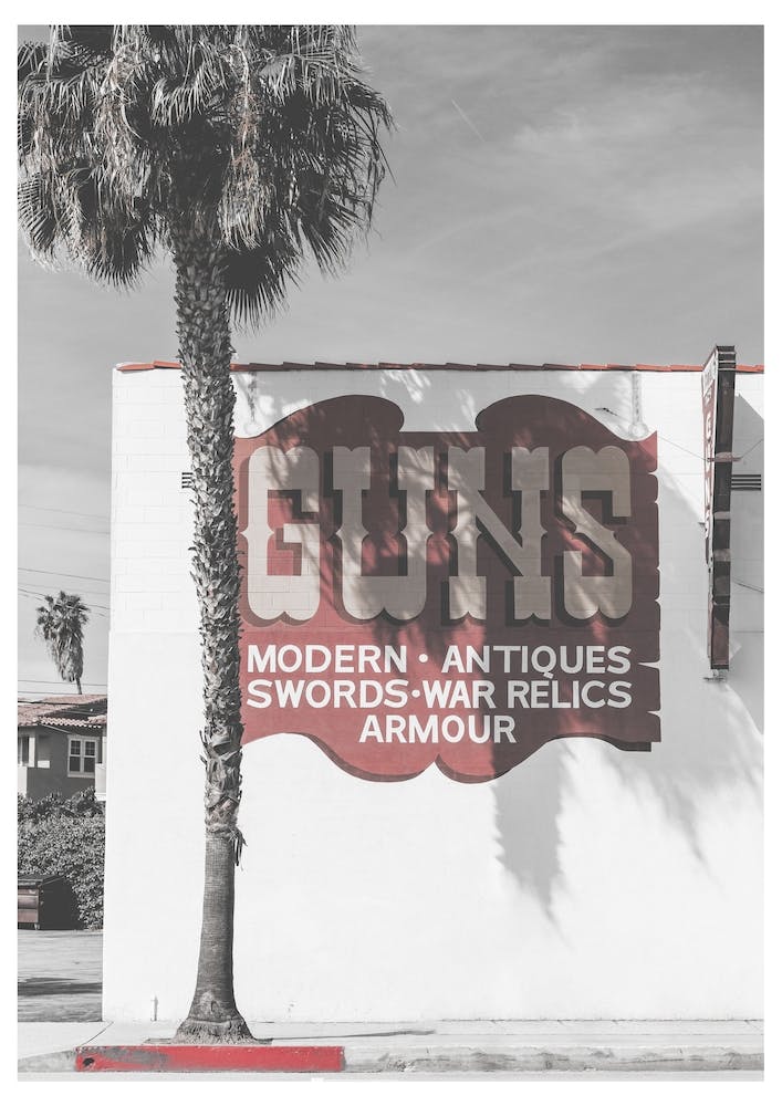 Vintage America Guns Palm Tree Sign