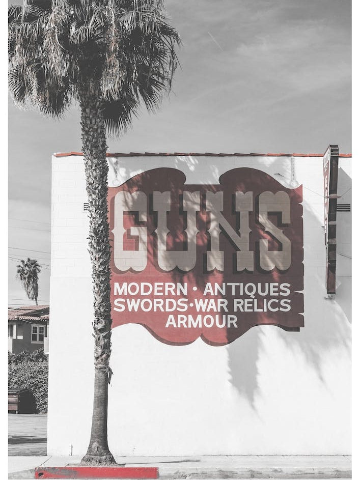 Vintage America Guns Palm Tree Sign
