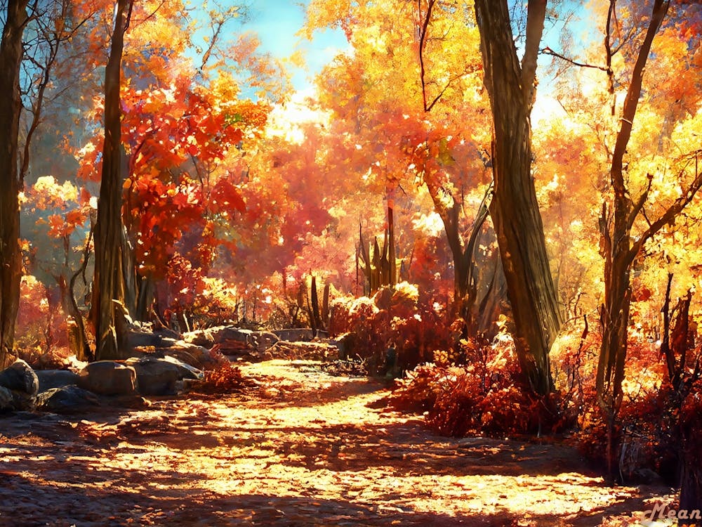 Autumn Forest