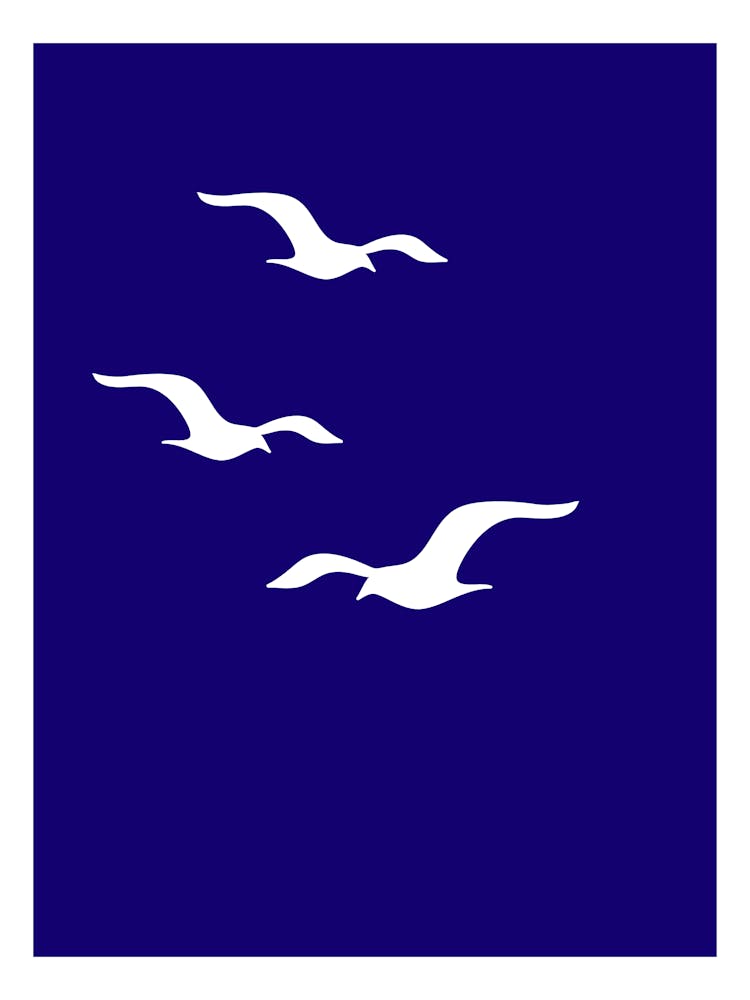 Seagulls In Flight