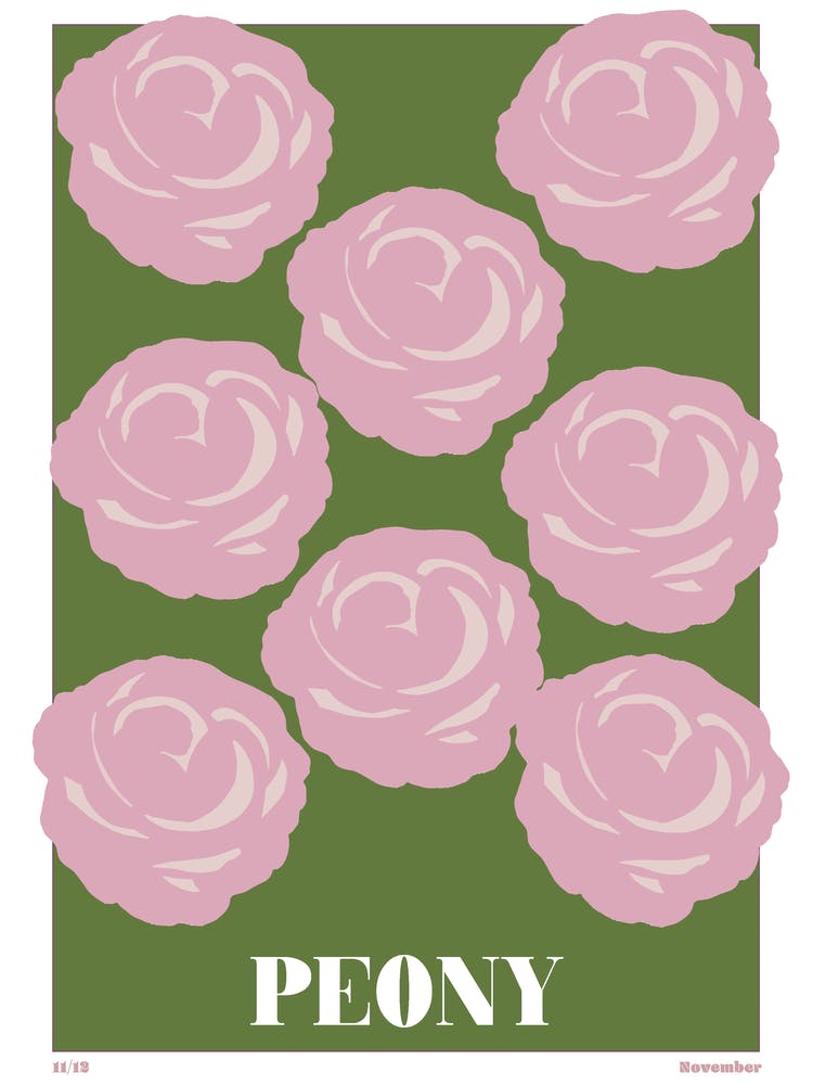 November Birth Month Flower
