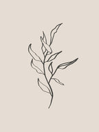 Plant Line Art No 394d