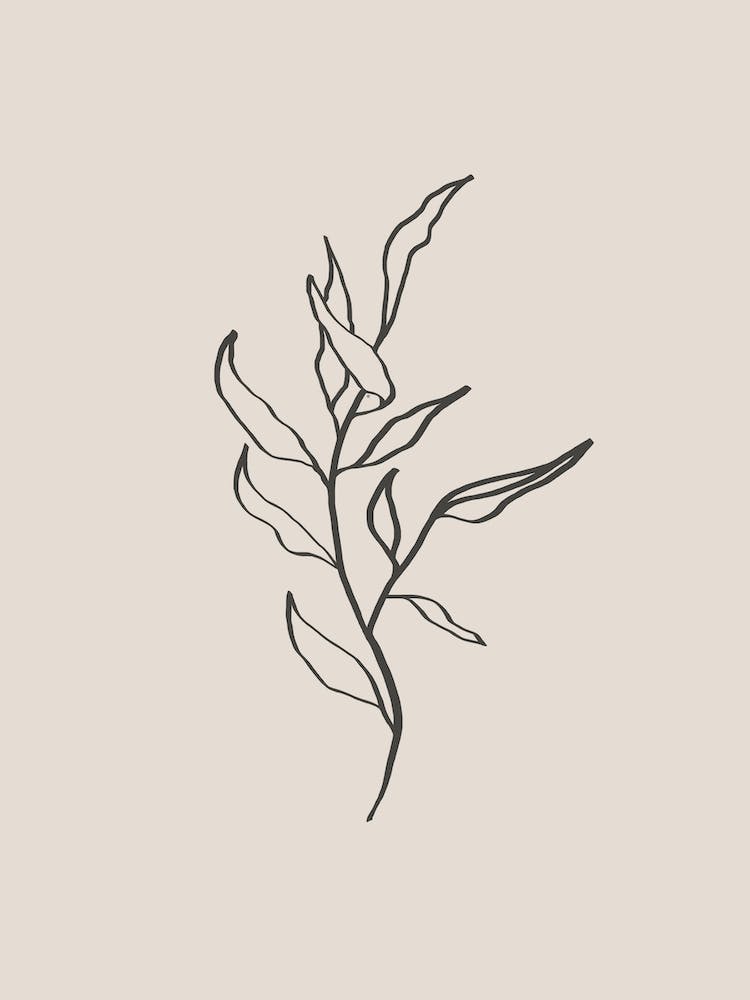 Plant Line Art No 394d