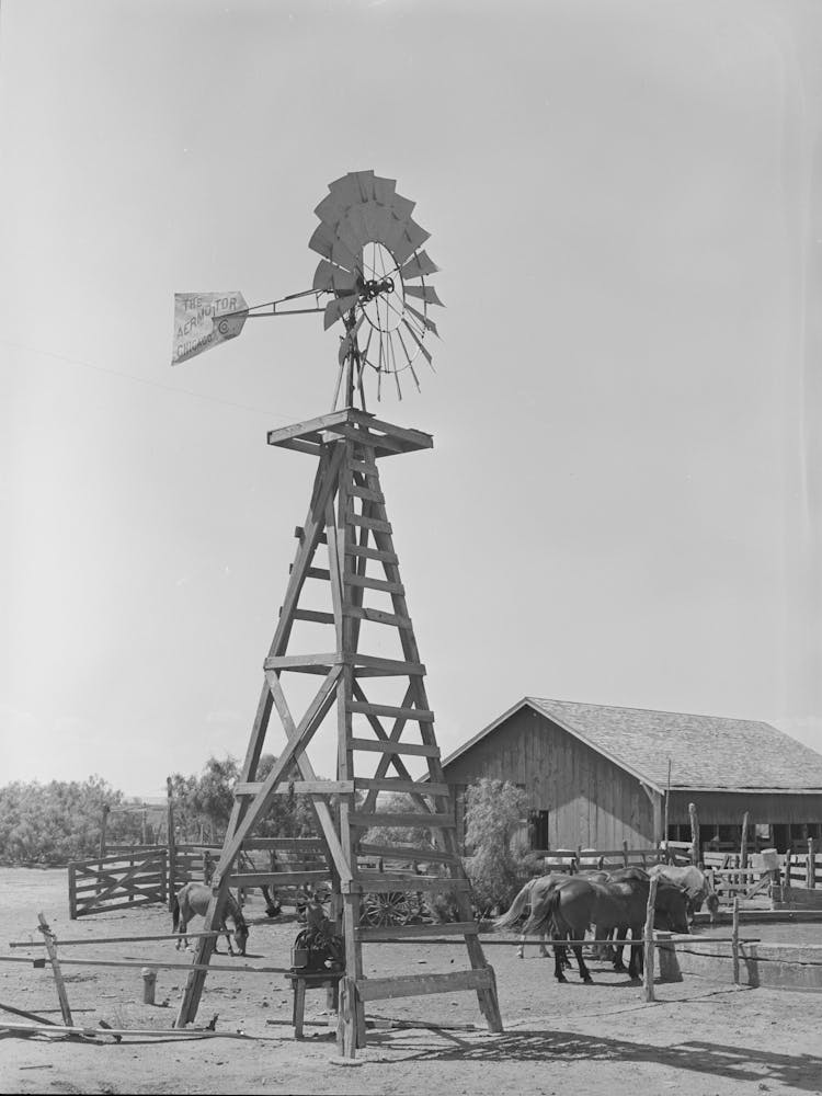 Windmill, Watering Trough And Barn On Sms Ranch Near Spur, Texas By Russell Lee
