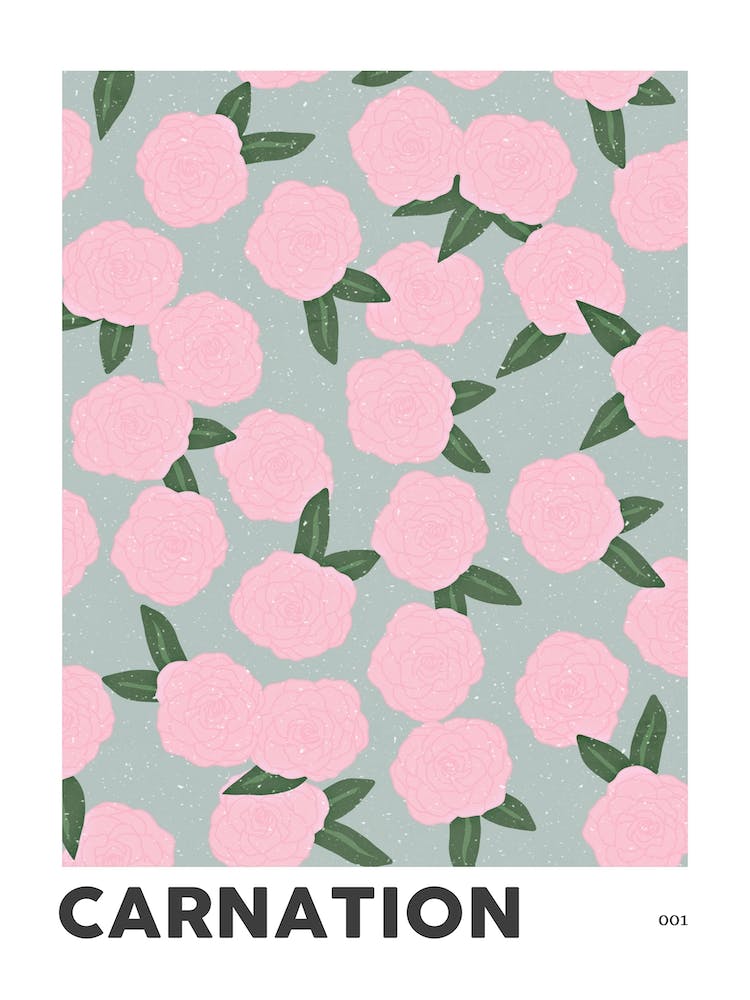 Carnation January Birth Flower