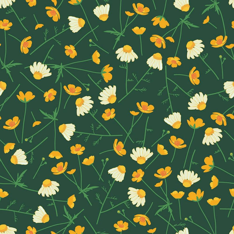 Chamomile and buttercup meadow
