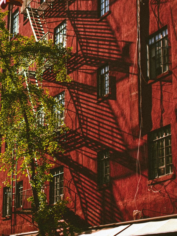 Straßenfotografie, New York